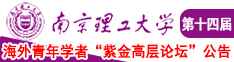 美骚妇在线看南京理工大学第十四届海外青年学者紫金论坛诚邀海内外英才！